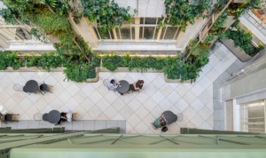 Eighty Strand retrofit, MGAC. The image shows a bird's-eye-view of a courtyard. People sit at small tables, surrounded by vine-covered walls.